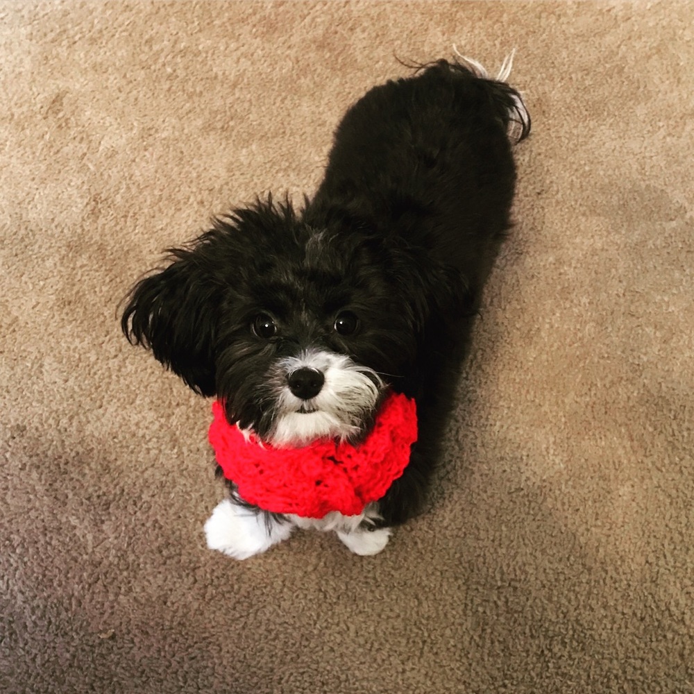 Meet your Posher, Kimberly